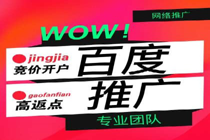 百度SEM推广案例：揭秘行业领军企业的成功之路
